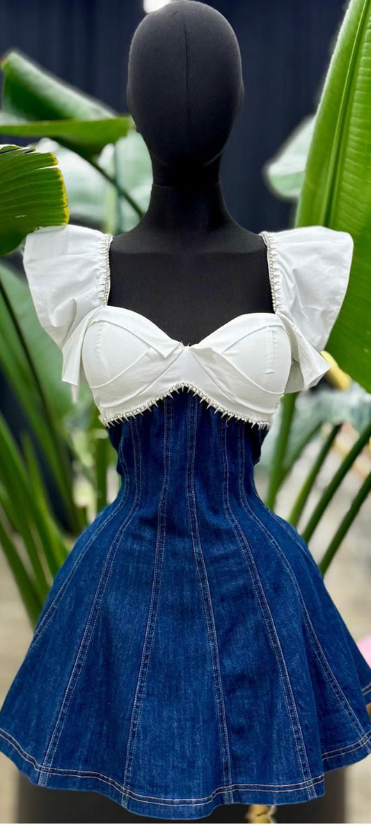 Yaris Denim Dress