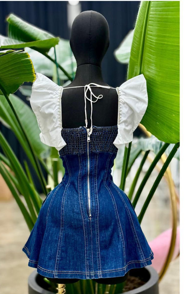 Yaris Denim Dress