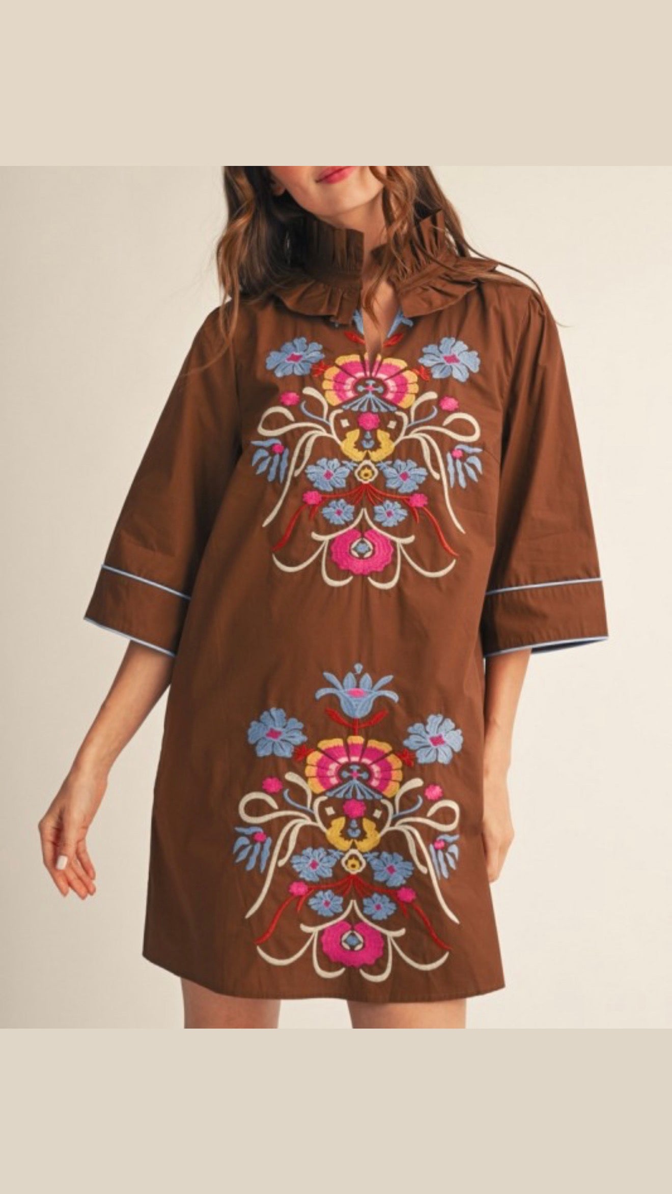 Tania Embroidery Mini dress