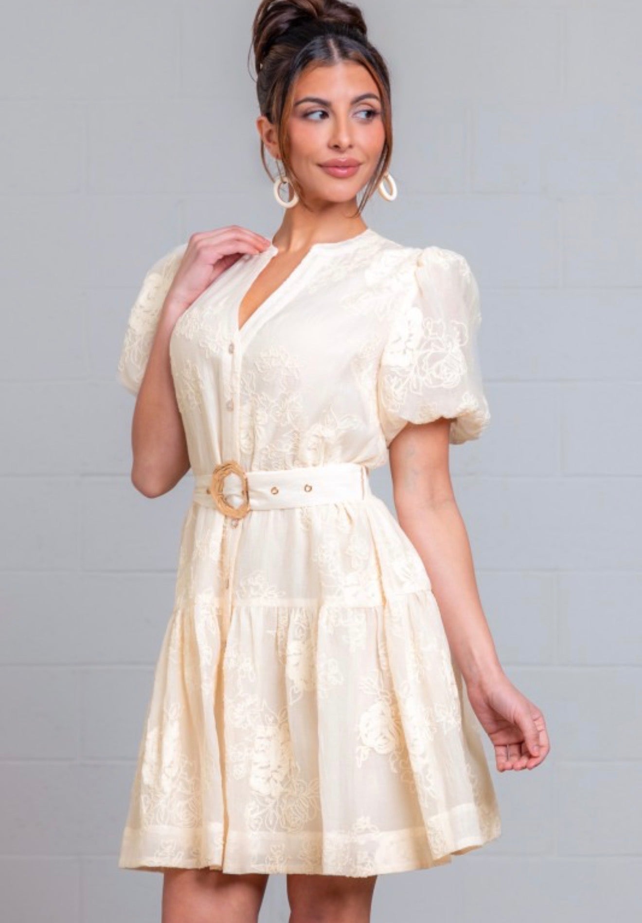 Catalina Embroidery Mini Dress