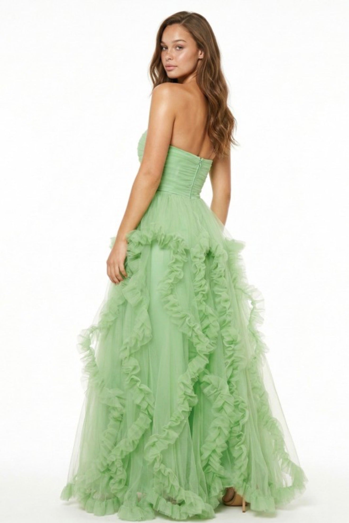 Ariel Mesh Ruffle  Maxi Dress