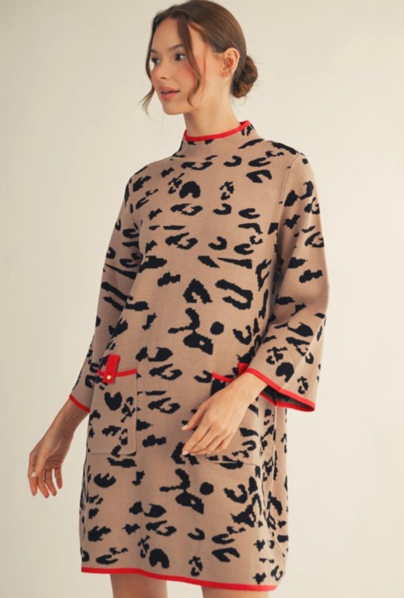 Amarandas Mini Dress