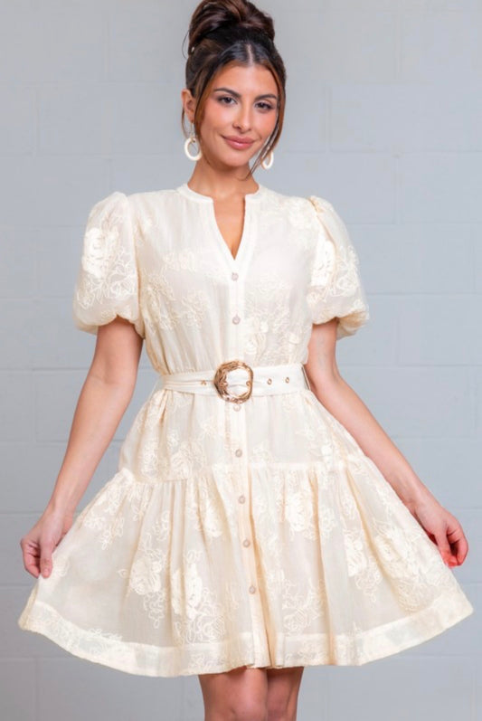 Catalina Embroidery Mini Dress
