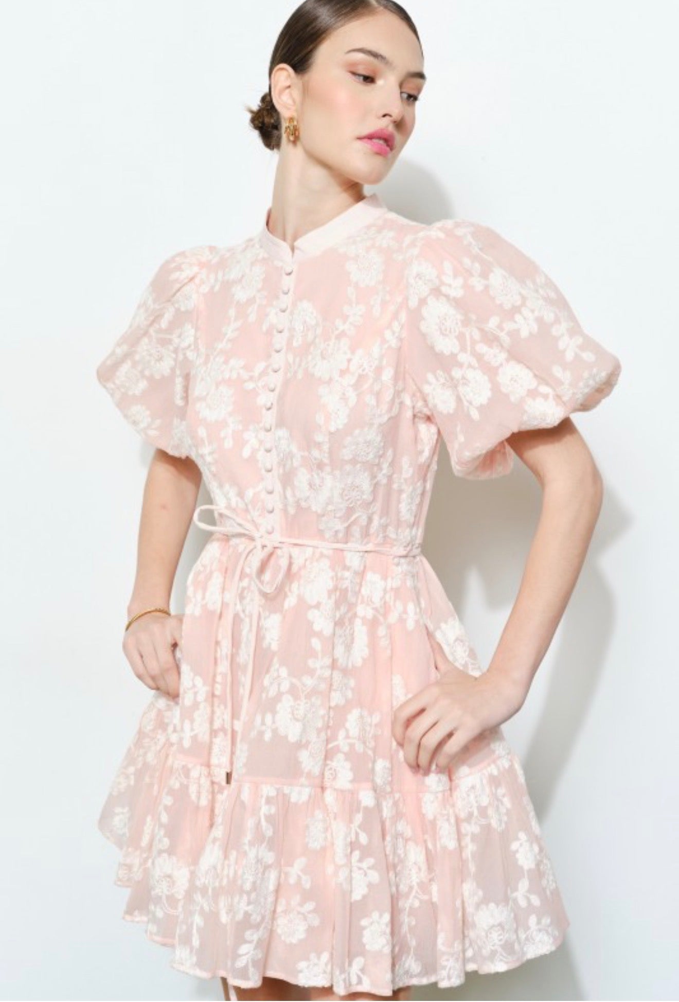 Victoria Embroidery Mini Dress