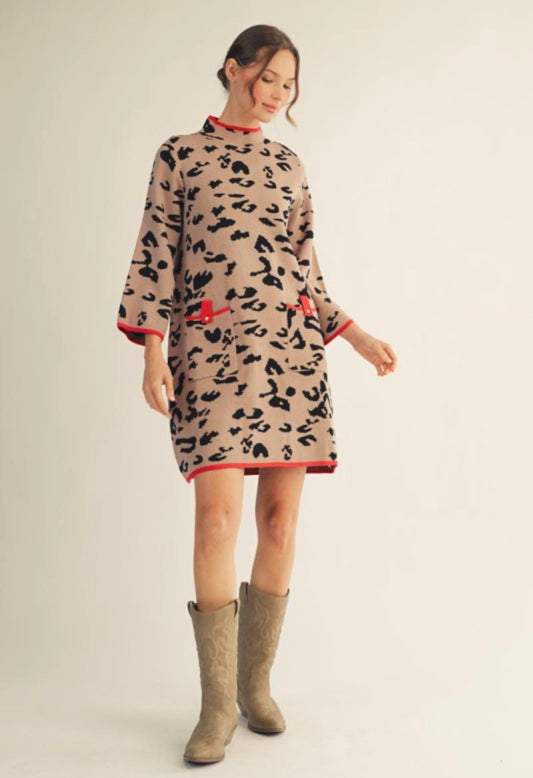 Amarandas Mini Dress