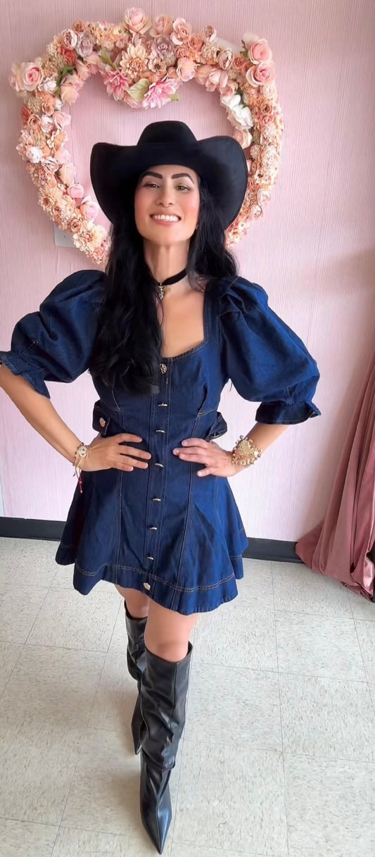Rose Denim Mini Dress