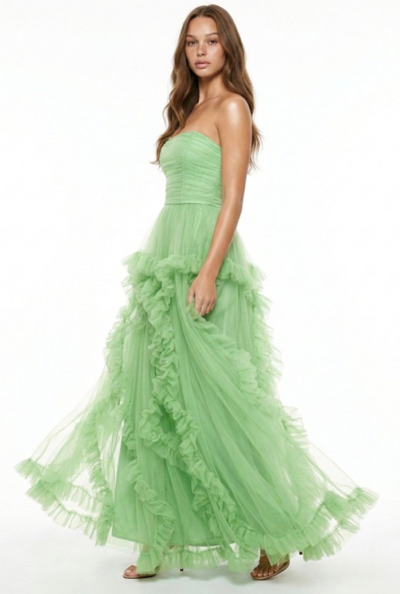 Ariel Mesh Ruffle  Maxi Dress