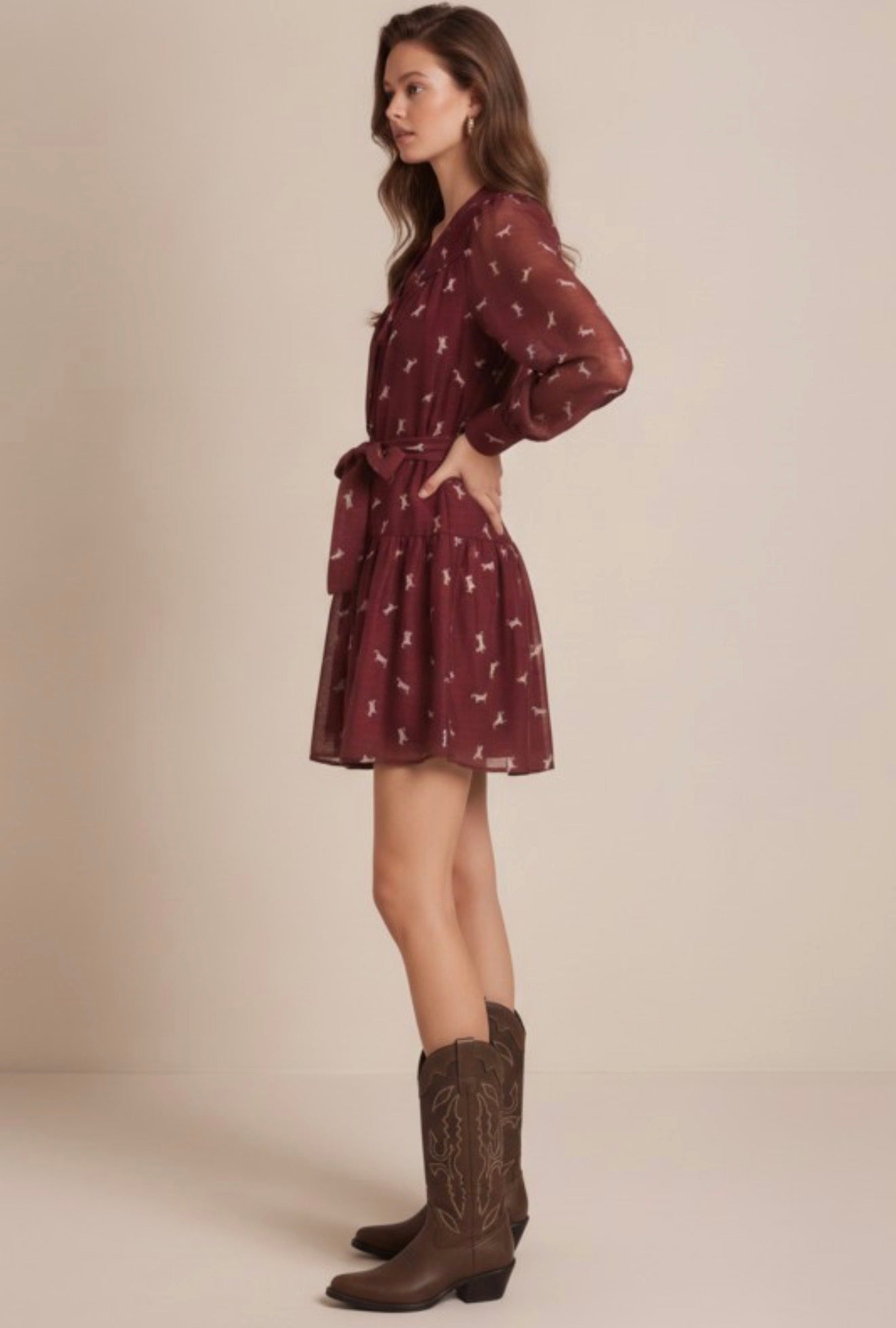 Roselyn Mini Dress