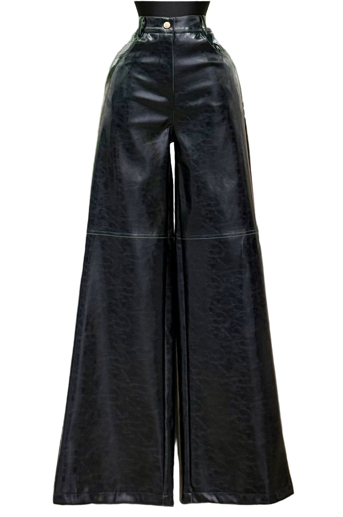 Camila Black Leather pant